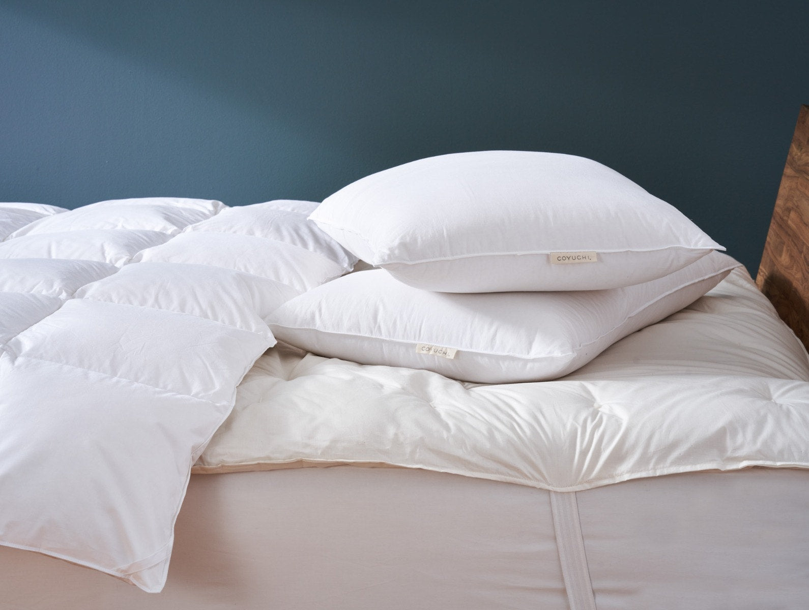 Organic Shredded Latex Pillow – Coyuchi